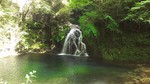 DSC_1505.JPG